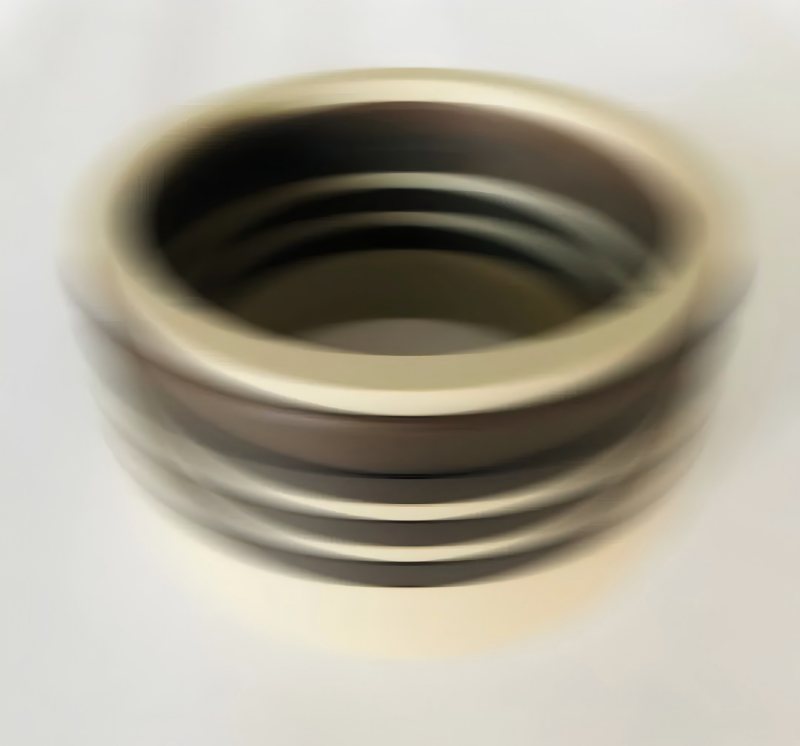 SEAL ACQUA DI RUICHEN SEAL SEAL SEAL ALTRA ALTRO ALTA SEAL PRESSO SUCCESSO Il test dell'utente