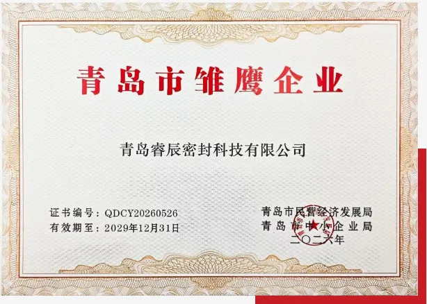 Qingdao Ruichen Sealing Technology Co., Ltd. è stata selezionata come 