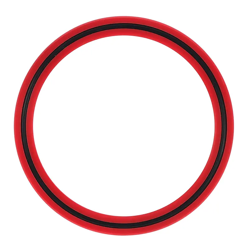 Guarnizione di tipo BD