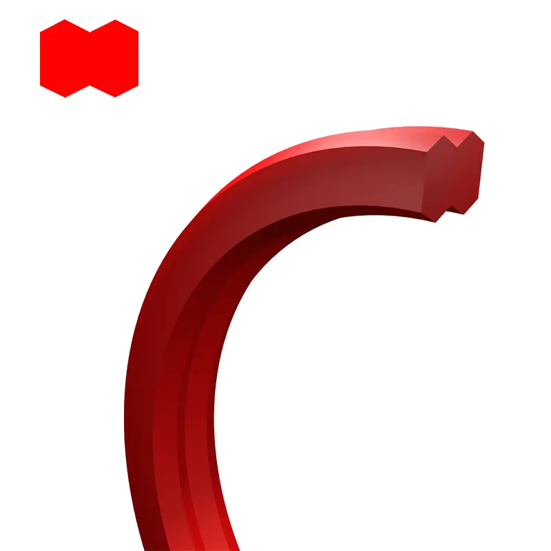 Anello di tenuta a forma di manubri
