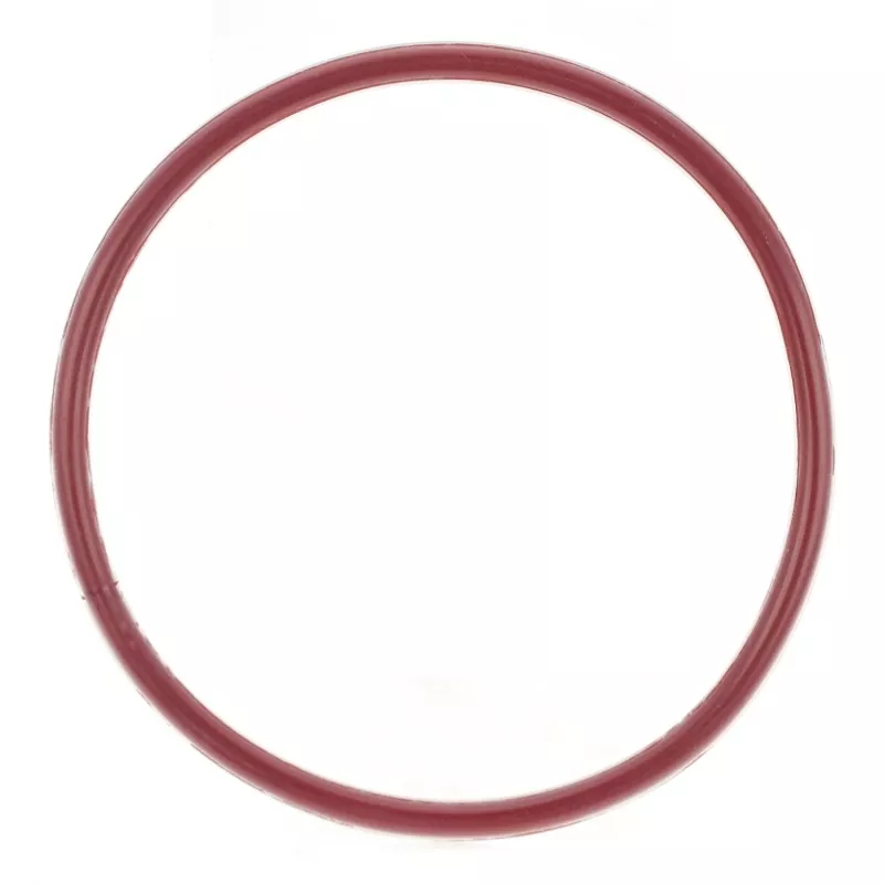 O-ring incapsulato in FEP/PFA
