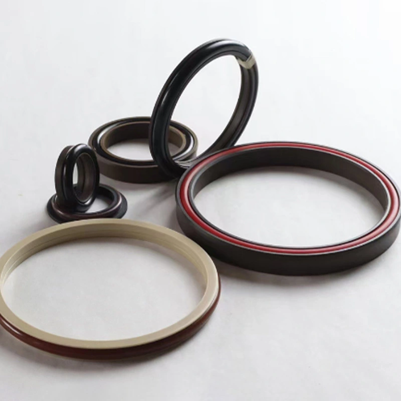 Hydraulic Seals For Piston Holes Hydraulic Seals For Piston Holes