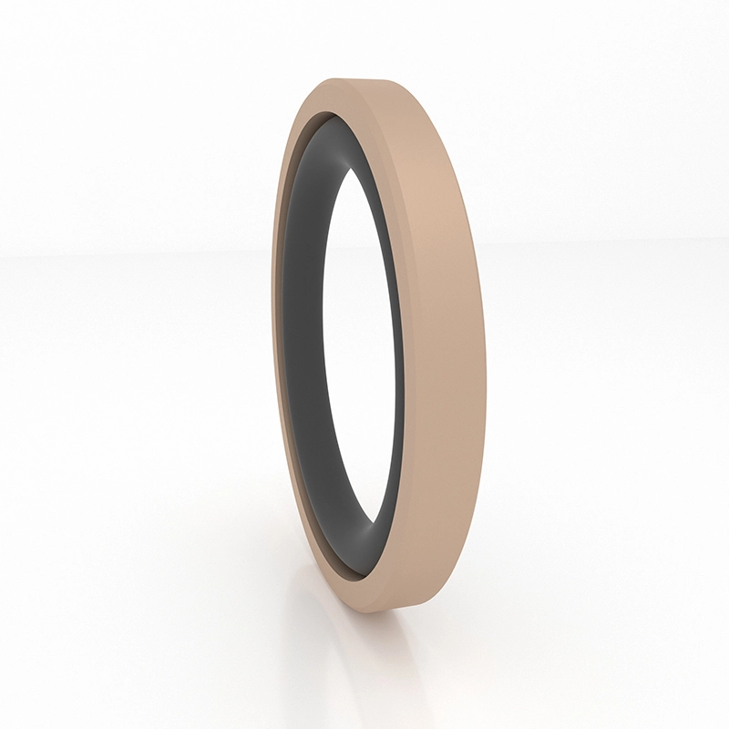 Hydraulic Seals For Piston Holes Hydraulic Seals For Piston Holes