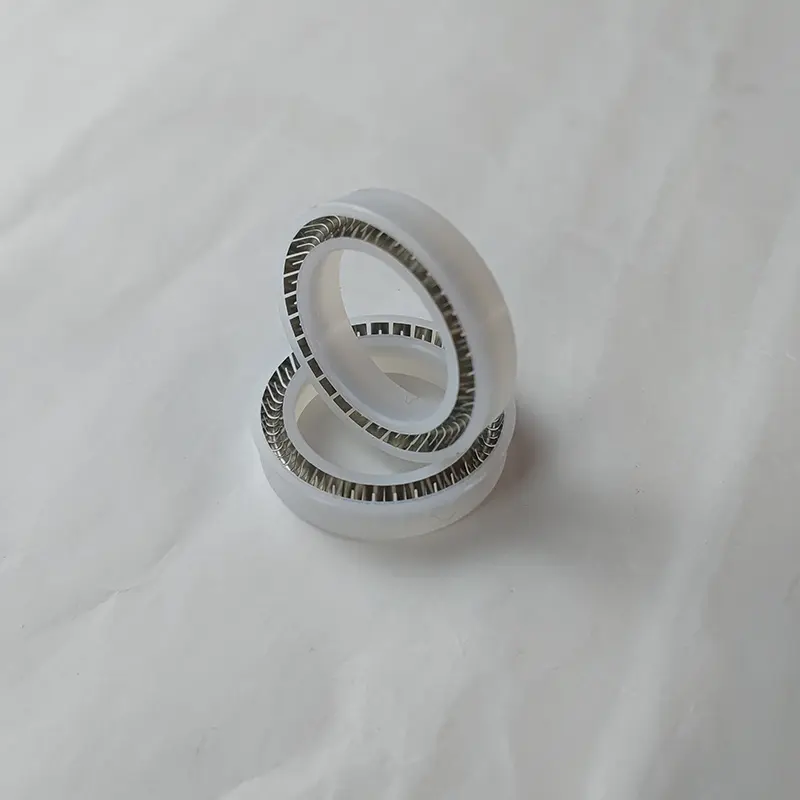 Radial Spring Energized Seals