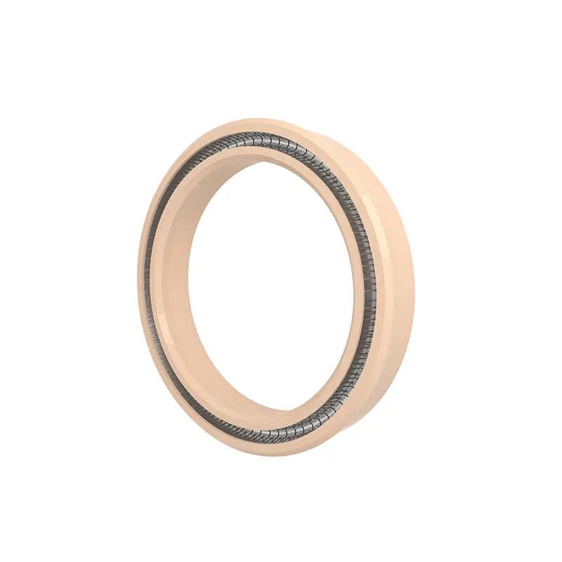 Radial Spring Energized Seals