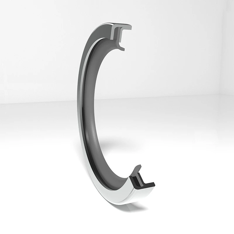 High Pressure Rotary Seals