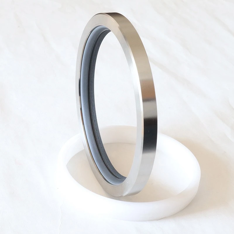 High Pressure Rotary Seals